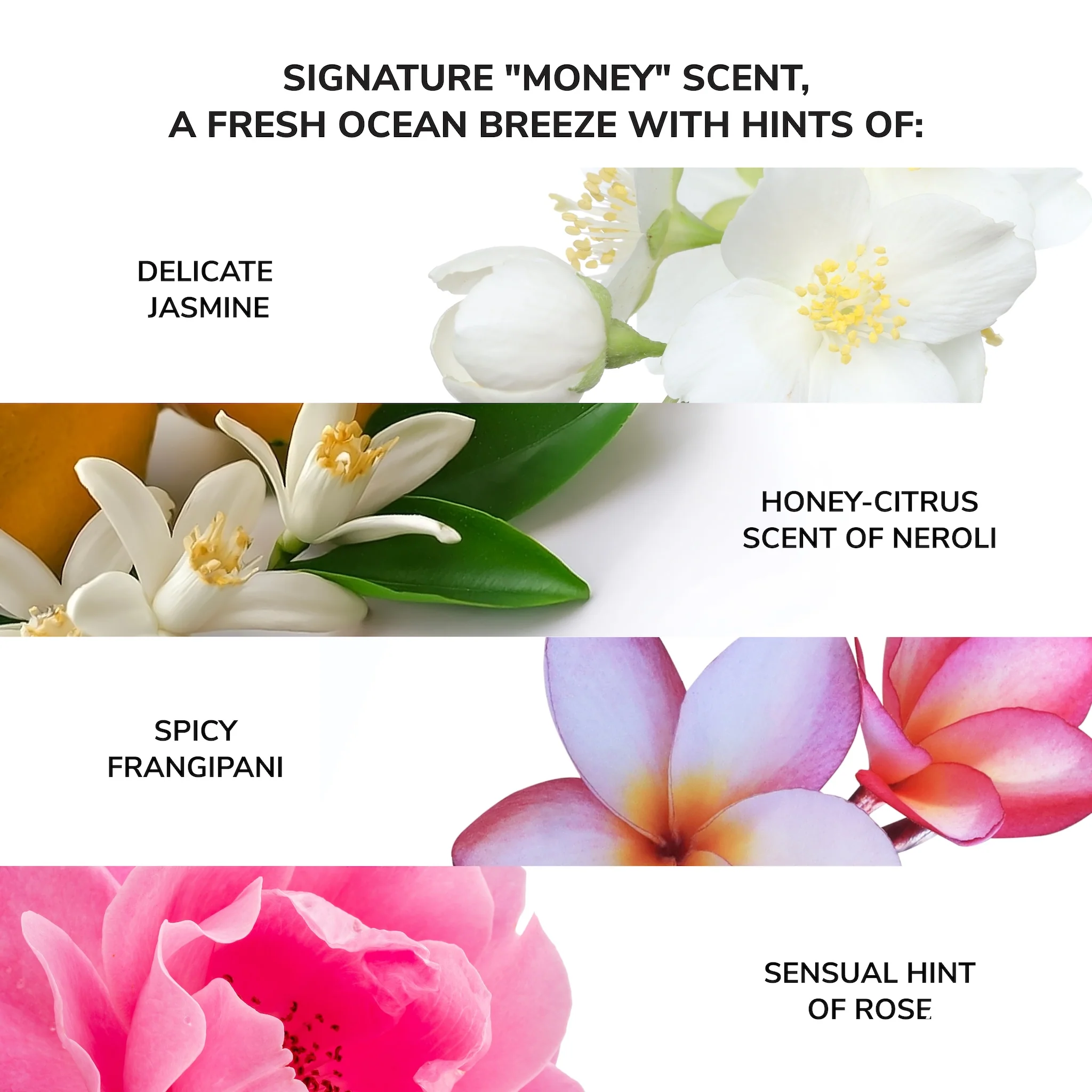 Money Laundering Glossing Conditioner - Image 6